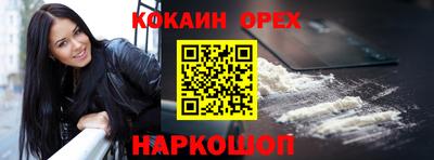 apvp Гатчина