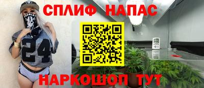 apvp Гатчина