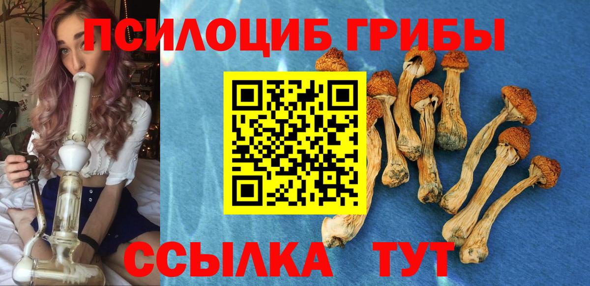 Галлюциногенные грибы ЛСД  Вход с VPN  Карачаевск 